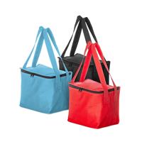 Bolsa Térmica 10 Litros - T18524
